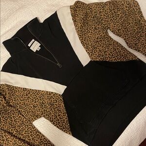 American Eagle Quarter Zip